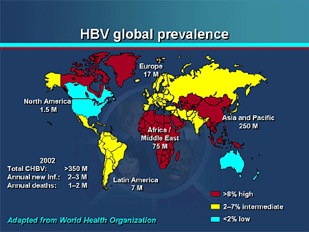 Chronic Hepatitis B: Refining Management Approaches And Addressing The ...