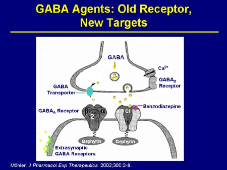 Slide 29. GABA Agents: Old Receptor, New Targets