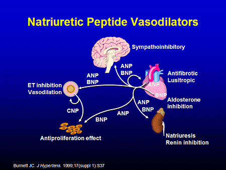 Current Controversies in the Management of Acute Decompensated Heart ...