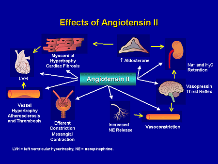 angiotensin ii effects slide syndrome metabolic controversies debate evolving challenges