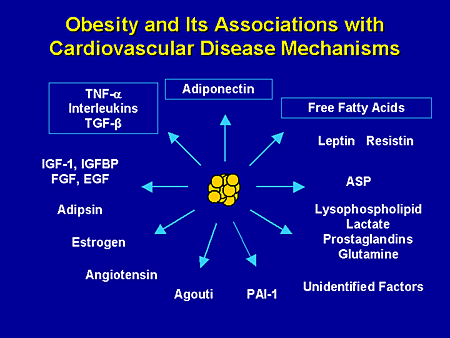 A Debate on the Metabolic Syndrome: Evolving Challenges and Controversies