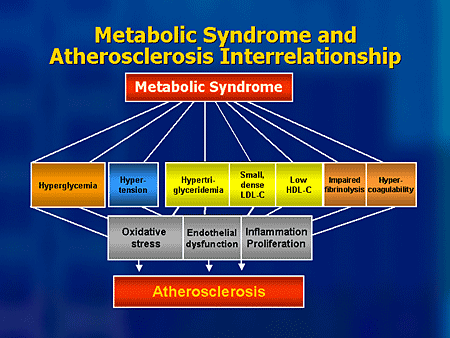 Metabolic Syndrome And Cardiovascular Risk: Treating The Clinical Spectrum