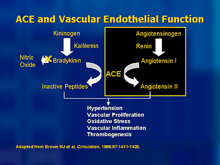 Ace Function Metabolic Syndrome and Cardiovascular Risk: Treating the Clinical Spectrum