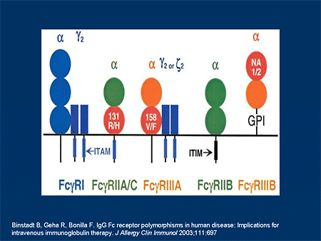 B-Cell Targeted Therapies: From Theory To Practice