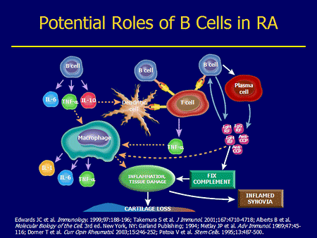 B-Cell Targeted Therapies: Clinical Trials Update