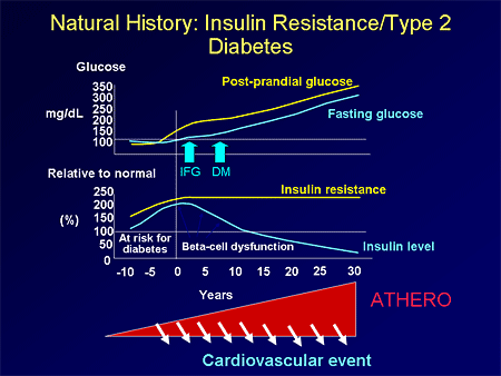 The Vascular Effects of TZDs: Stabilizing Plaque in an Unstable Environment