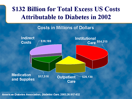 $132 Billion for Total Excess US Costs Attributable to Diabetes in 2002