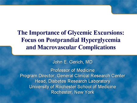 The Importance of Glycemic Excursions: Focus on Postprandial Hyperglycemia and Macrovascular Complications