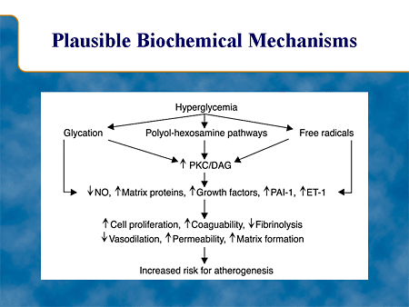 Plausible Biochemical Mechanisms