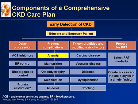 Patients With Moderate Chronic Kidney Disease (CKD): The Emerging Mandate