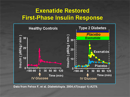 1St Phase Insulin Response Diet - devilgala