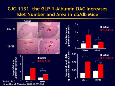 View of Can Islet Cell Function Be Improved Through Incretin Enhancement?