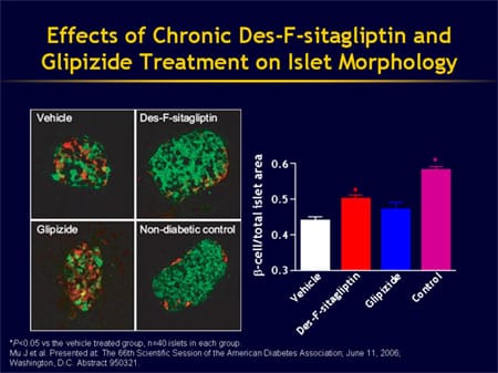 Picture of Can Islet Cell Function Be Improved Through Incretin Enhancement?