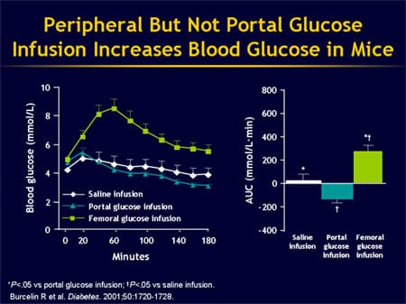 Can Islet Cell Function Be Improved Through Incretin Enhancement?