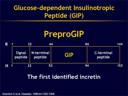 View of Can Islet Cell Function Be Improved Through Incretin Enhancement?