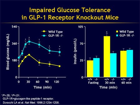 Picture of Can Islet Cell Function Be Improved Through Incretin Enhancement?