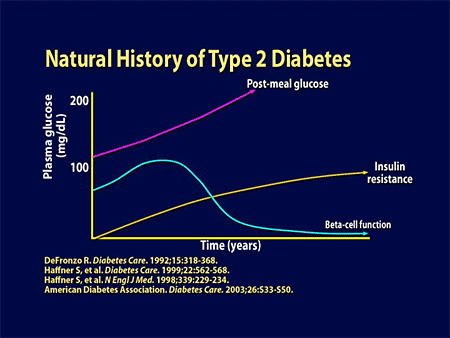 Insulin-Treated Type 2 Diabetes: Balancing Physiologic and Individual Needs