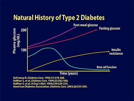 Insulin-Treated Type 2 Diabetes: Balancing Physiologic and Individual Needs