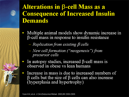 Alterations in Beta-cell Mass as a Consequence of Increased Insulin Demands