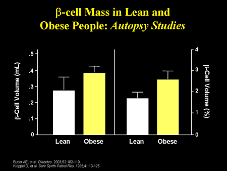 Beta-cell Mass in Lean and Obese People: Autopsy Studies