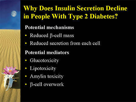 Why Does Insulin Secretion Decline in People With Type 2 Diabetes?