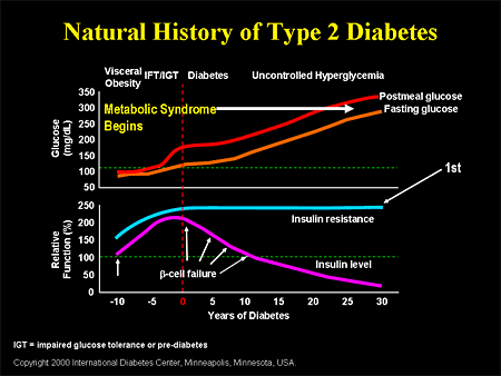 Resurrecting the Beta Cell in Type 2 Diabetes