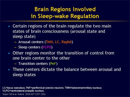 Navigating Neuronal Pathways: Novel Targets for the Management of Sleep ...