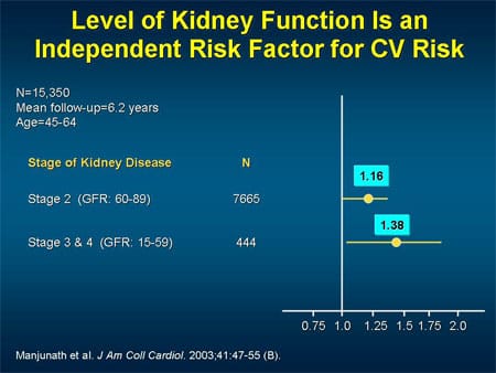 New Approaches to CV Risk Reduction: Beyond the Numbers