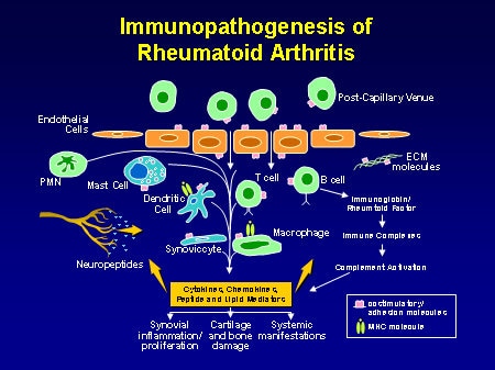 Changing The Treatment Of Rheumatic Diseases: Optimal Use Of Biologic ...