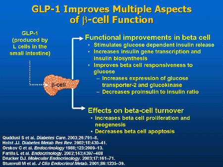 Photo inspiration: Glp 1 And Beta Cell Function For Weight Loss Reference: The Promise Of New Hormone Therapy