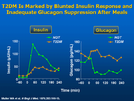 Diabetes and the GI Tract: Important Interrelationships