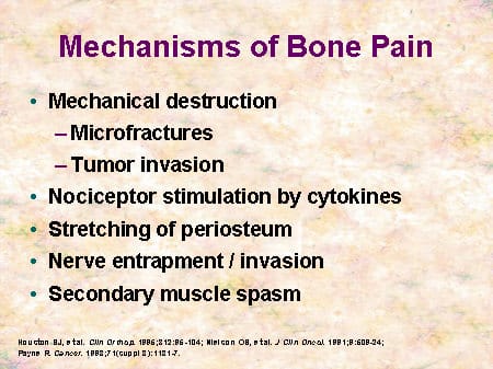 Emerging Opportunities for Bisphosphonates in Metastatic Bone Disease