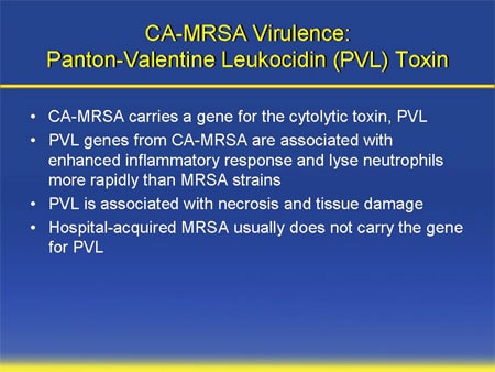 slide mrsa toxin pvl antibiotic panton valentine