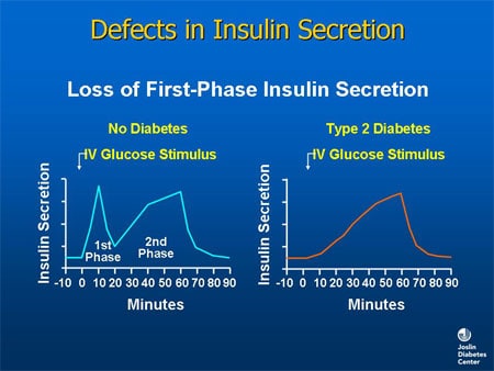 Strategies in Normalizing Glycemia: The Pathophysiologic Basis