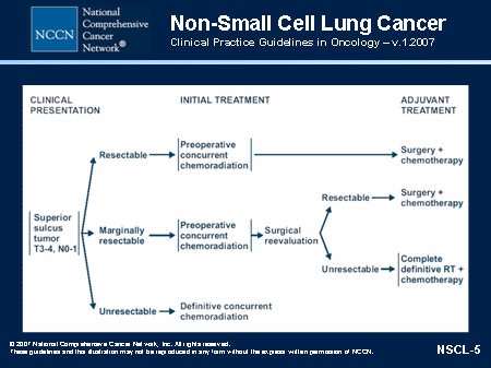 NCCN Non-Small Cell Lung Cancer Guidelines Update (Slides with Transcript)