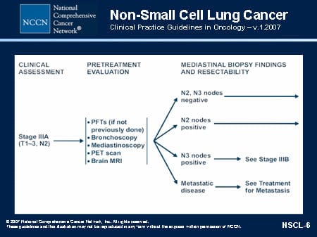 NCCN Non-Small Cell Lung Cancer Guidelines Update (Slides with Transcript)