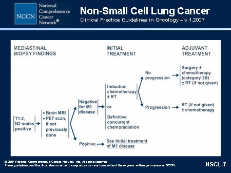 NCCN Non-Small Cell Lung Cancer Guidelines Update (Slides with Transcript)