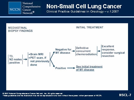 NCCN Non-Small Cell Lung Cancer Guidelines Update (Slides with Transcript)