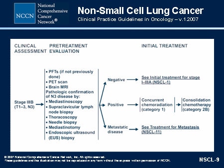 NCCN Non-Small Cell Lung Cancer Guidelines Update (Slides With Transcript)