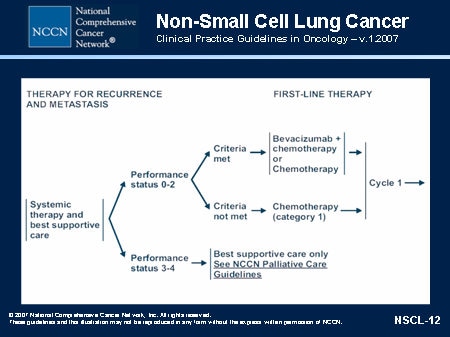 NCCN Non-Small Cell Lung Cancer Guidelines Update (Slides with Transcript)