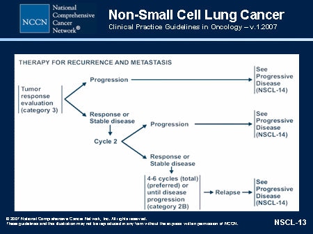 NCCN Non-Small Cell Lung Cancer Guidelines Update (Slides with Transcript)