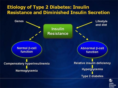 Inhaled Insulin: Pulmonary Considerations (Slides with Transcript)