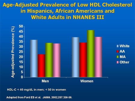Slide 22. Age-Adjusted Prevalence of Low HDL Cholesterol in Hispanics, African Americans, and 