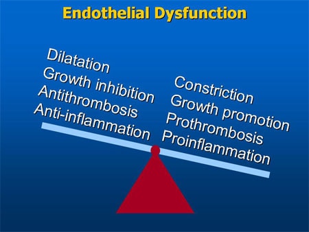 Slide 34. Endothelial Dysfunction