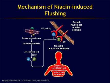 niacin flushing