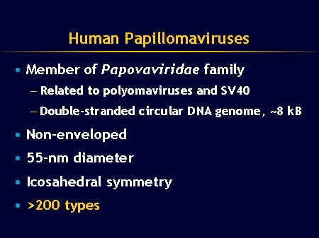 Disease Burden and Health Consequences of HPV Infection (Slides with ...