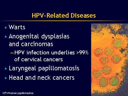 Disease Burden and Health Consequences of HPV Infection (Slides with ...