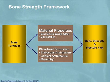 Qualities of Bone and the Effects of Treatment (Slides with Transcript)