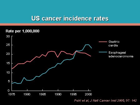 Slide 4. US cancer incidence rates