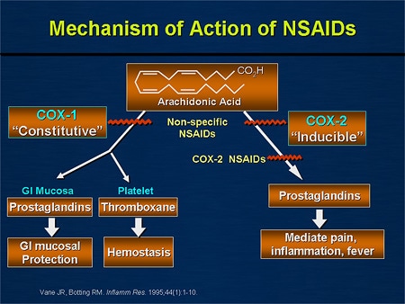 nsaid paracetamol With Risk Balancing Protective Cardiovascular Gastro Effects